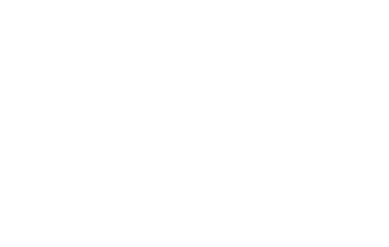 salezyshop